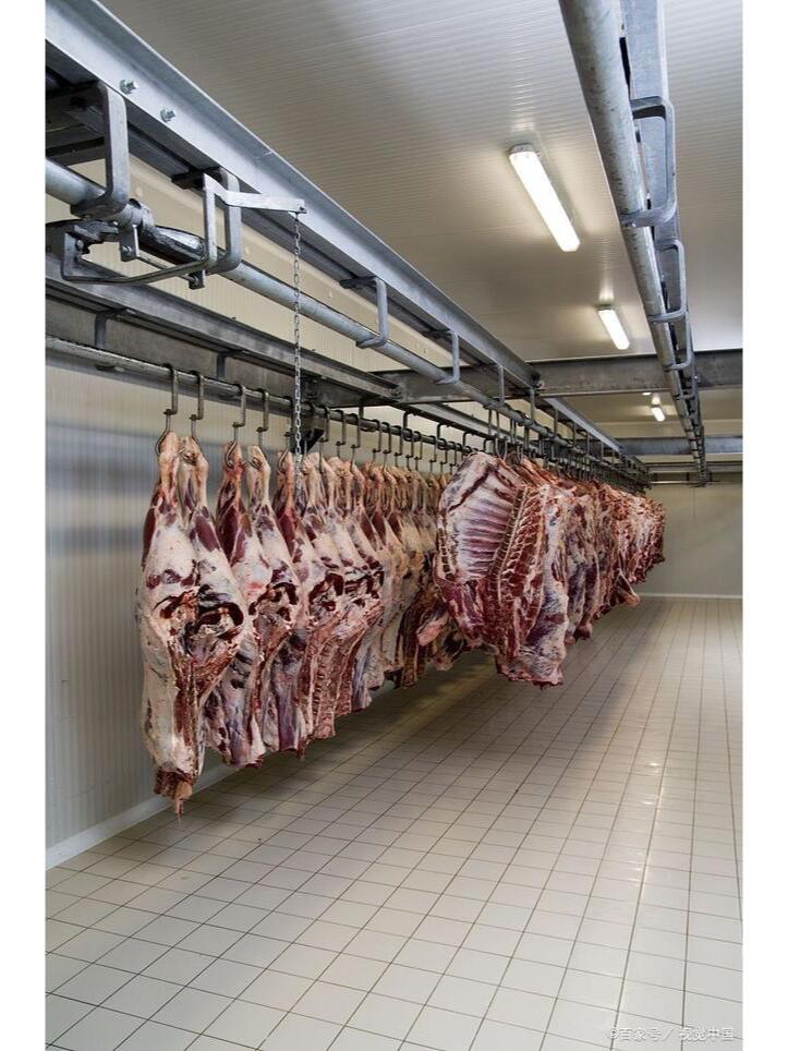 屠宰厂牛羊肉类速冻01.jpeg