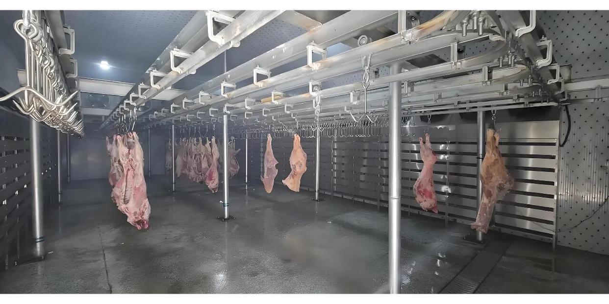 屠宰厂牛羊肉类速冻03.jpeg