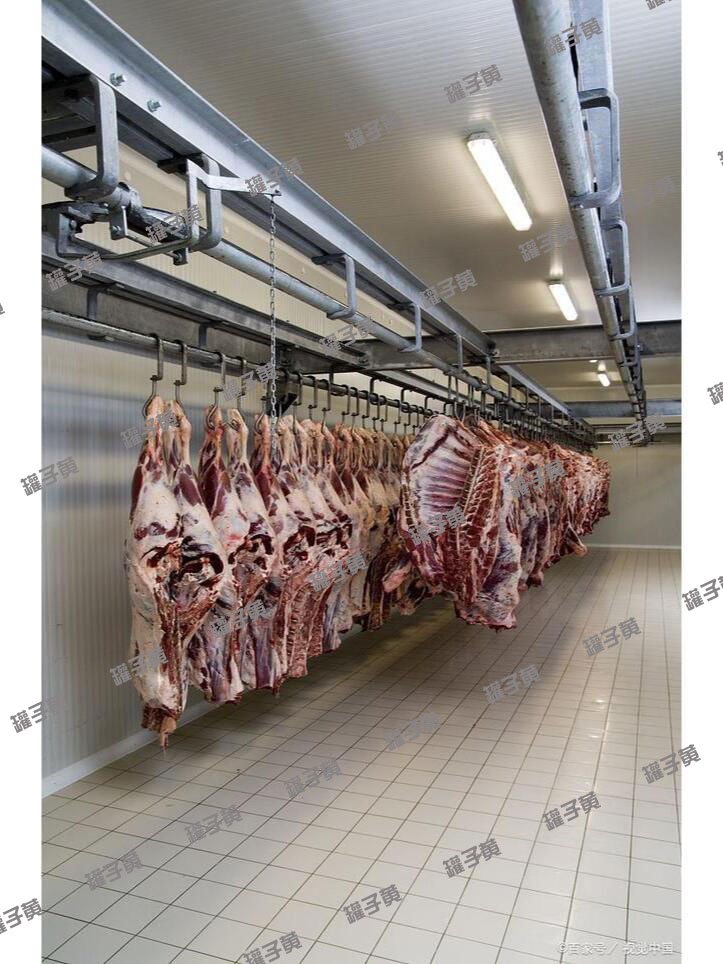 屠宰厂牛羊肉类速冻01副本.jpg