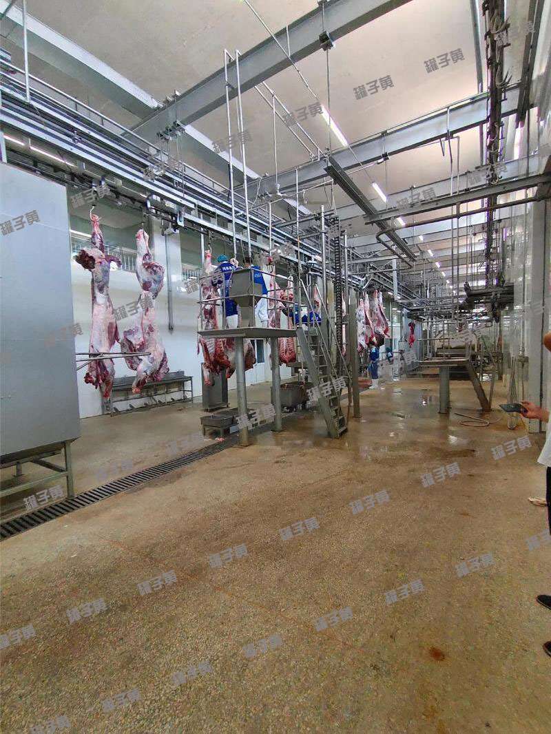 屠宰厂牛羊肉类速冻05副本.jpg